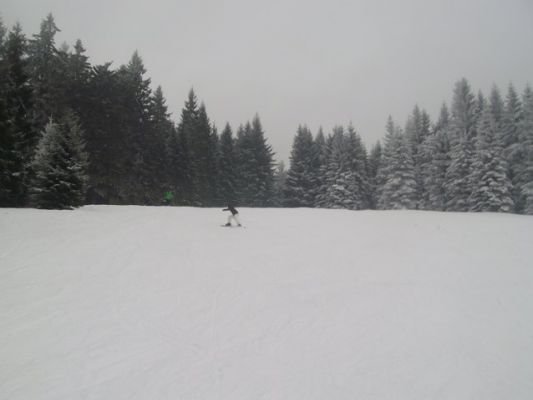 img_1327872334_631