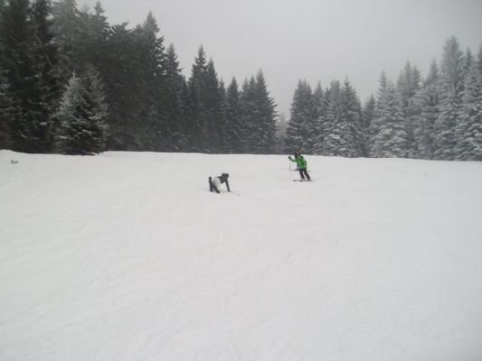 img_1327872336_196