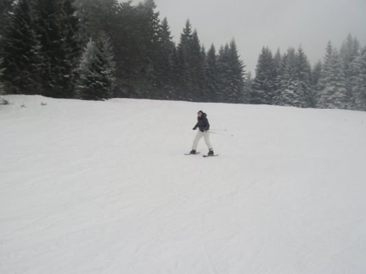 img_1327872337_424
