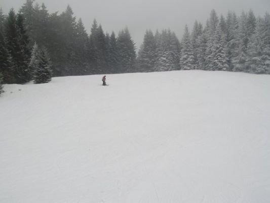 img_1327872340_3