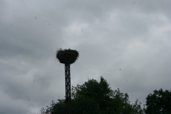 alb_59