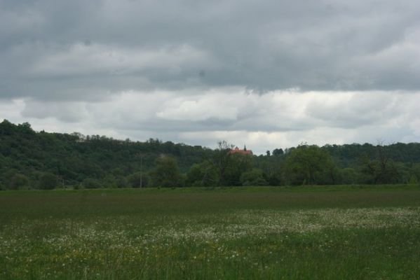 alb_59