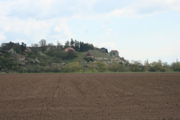 alb_59