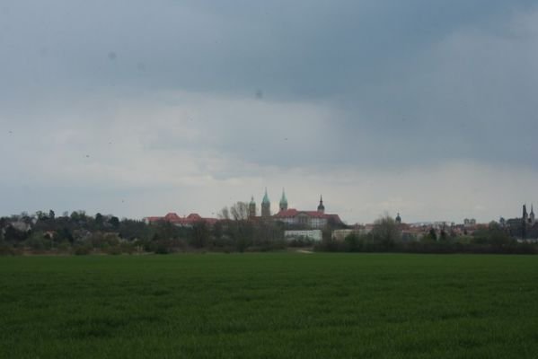 alb_59