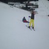 alb_85