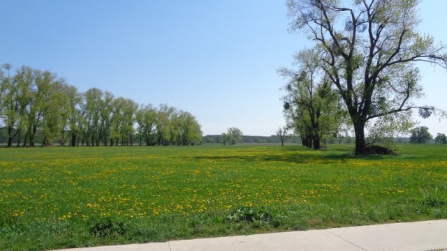 dsc05204_800x450